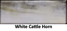 White cattle horn